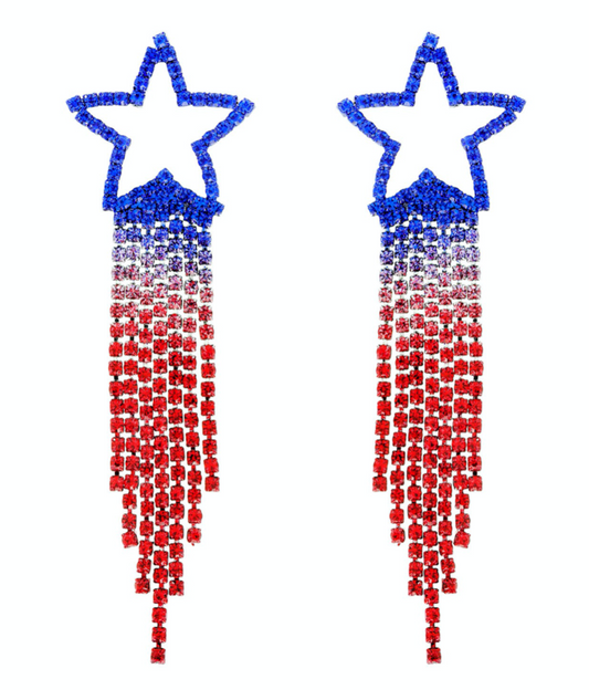 USA Earrings